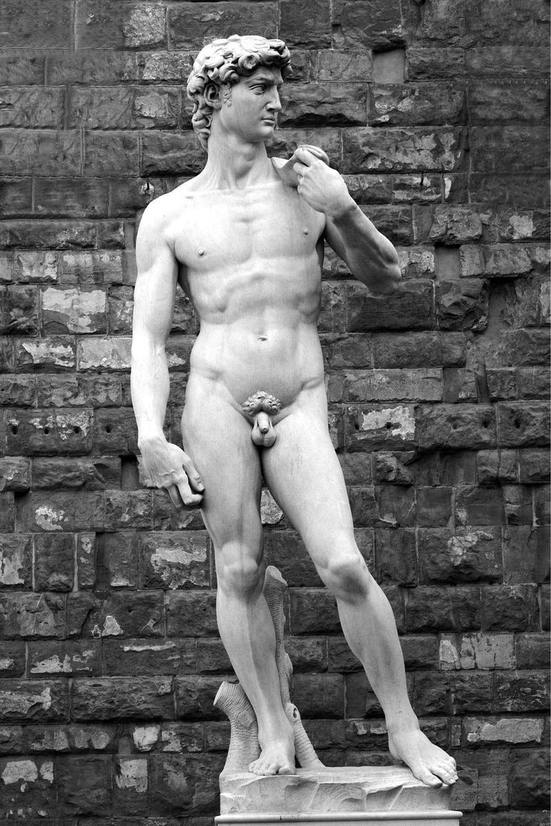 Michelangelo's Art